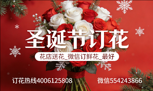 深圳龙岗龙城花店送花_微信订鲜花_圣诞节订花_最好? 深圳龙岗龙城花店
